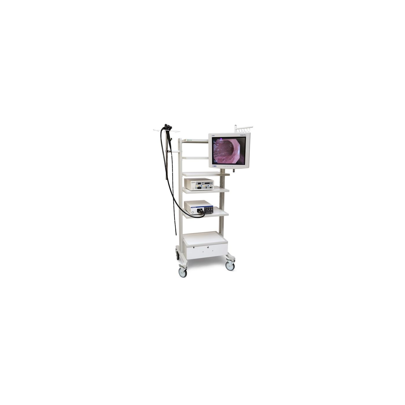 Видеоэндоскопическая система на базе Olympus CV-V1 (Axeon)