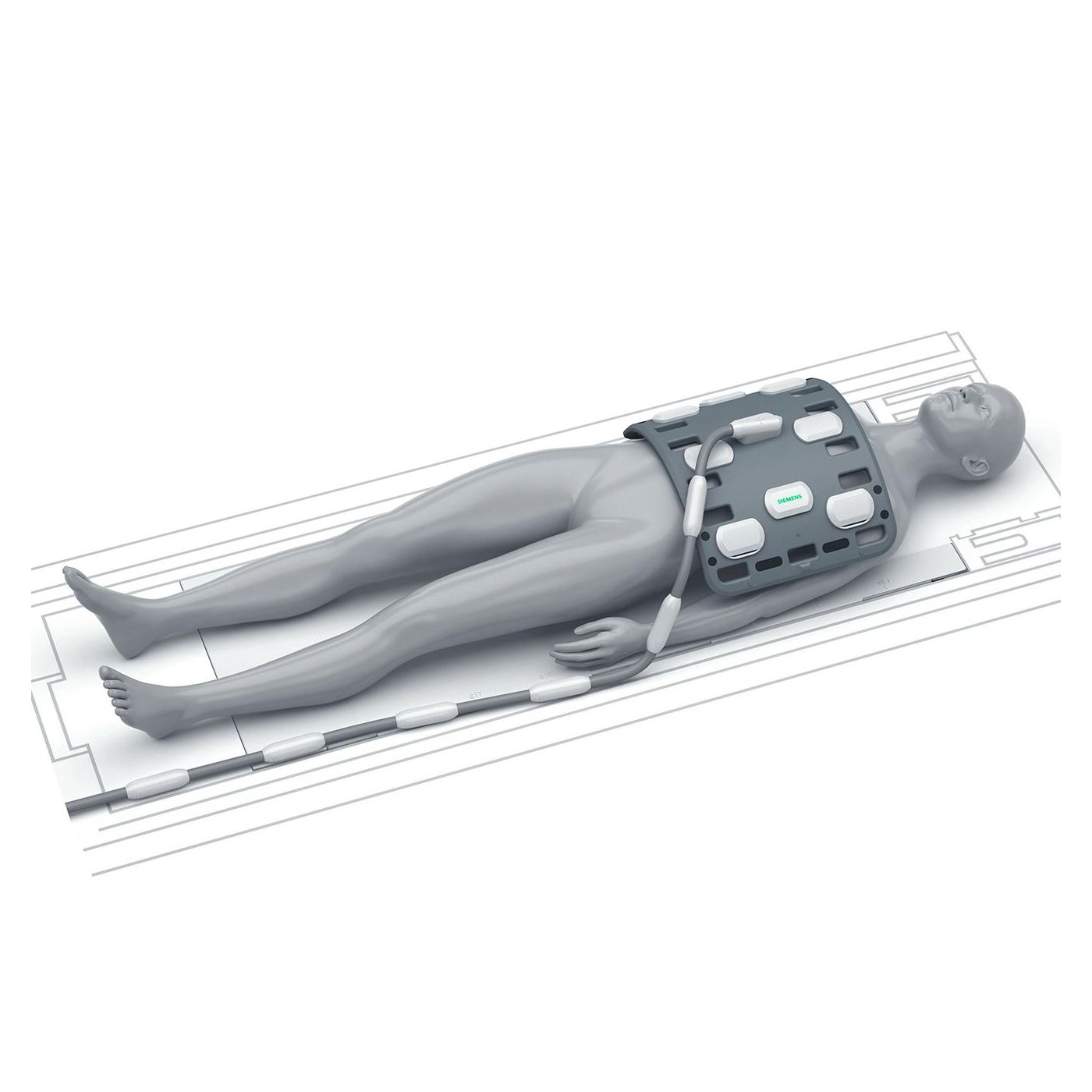 Катушка для тела Siemens Body 18 long